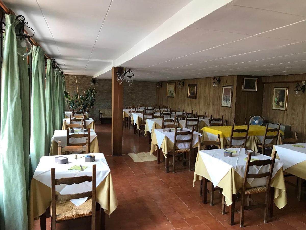 Amico Fritz Livorno